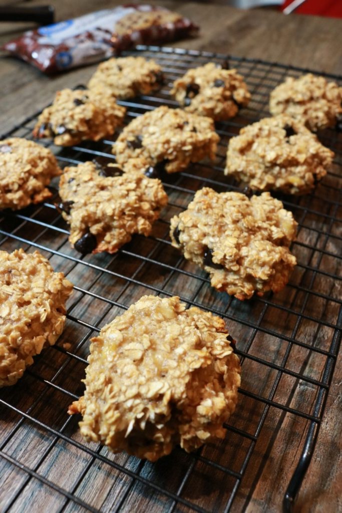 protein chocolate chip oatmeal cookies