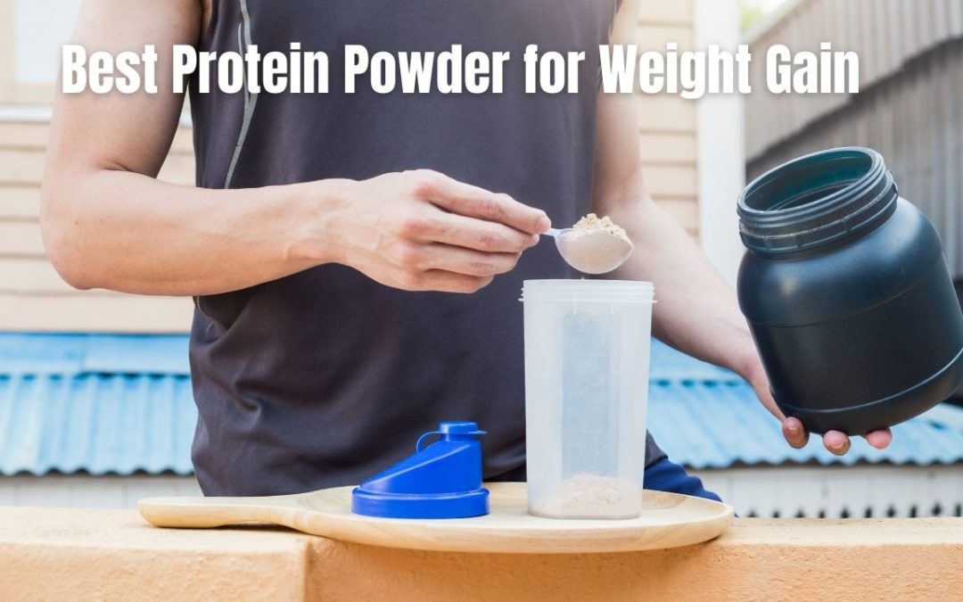 Best Protein Powder for Weight Gain